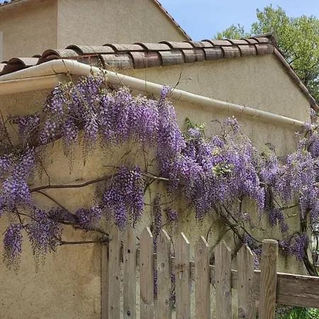 D'hotes De Charme Le Temps De Vivre Bed & Breakfast Molieres-Cavaillac